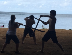 Kauai-2015-sword-4